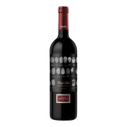 Alpasión - Grand Cabernet Franc - 0.75L - 2021