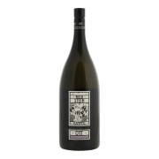 Bernhard Ott - Engabrunn Ried Stein Grüner Veltliner BIO - 1.5L - 2021