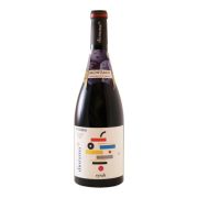 Bodegas Pinord - Diorama Syrah BIO - 0.75L - 2022