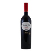 Bodegas Pinord - Priorat Clos del Mas - 0.75L - 2021