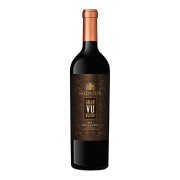 Bodegas Salentein - Malbec Cabernet Sauvignon Gran VU - 0.75L - 2021