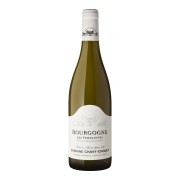 Domaine Chavy-Chouet - Bourgogne Les Femelottes - 0.75L - 2024