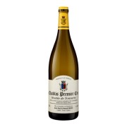 Domaine Jean-Paul & Benoît Droin - Chablis Premier Cru Montée de Tonnerre - 1.5L - 2022
