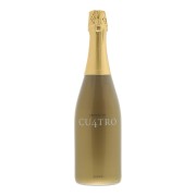 Proyecto Cu4tro - Bubbles Semi Seco - 0.75L