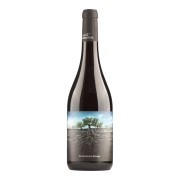 Proyecto Garnachas de España - La Garnacha Salvaje - 0.75L - 2022
