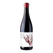 Roodekrantz - Old Bush Vine Pinotage 1976 - 0.75L - 2022