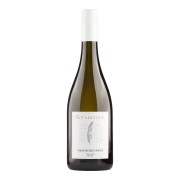 Studier - Grauburgunder BIO - 0.75L - 2025