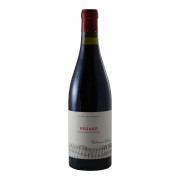 Telmo Rodriguez - Castilla y León Pegaso Pizarra - 0.75L - 2021