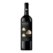 Vicente Gandía - Nebla Ribera del Duero Tempranillo - 0.75L - 2023