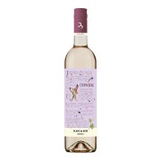 Weingut Dürnberg - Blanc de Noir Zweigelt Rosé - 0.75L - 2023