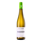 Weingut Winter - Grauburgunder - 0.75L - 2024