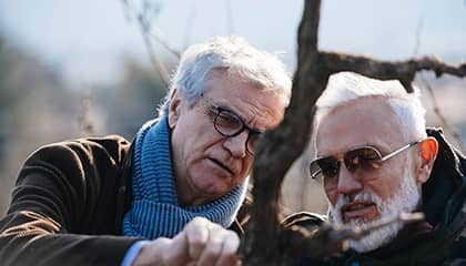 Vino Bellavista
