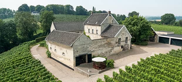 vini dai Paesi Bassi