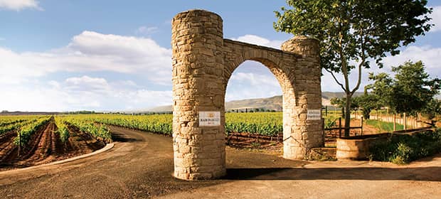 vini dalla spagna